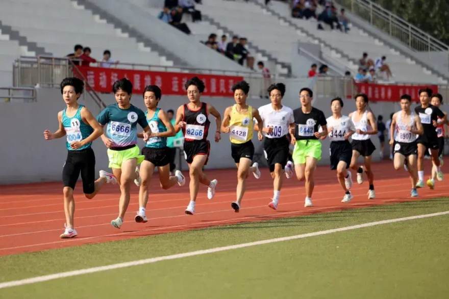 看个比赛 电竞赛事观赛入门：从赛制结构到数据面板的科普指南
